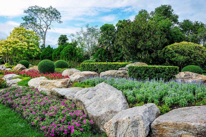 Entretien jardin Vosges